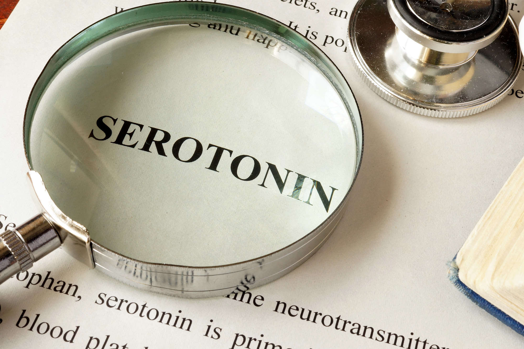 Serotonini Web