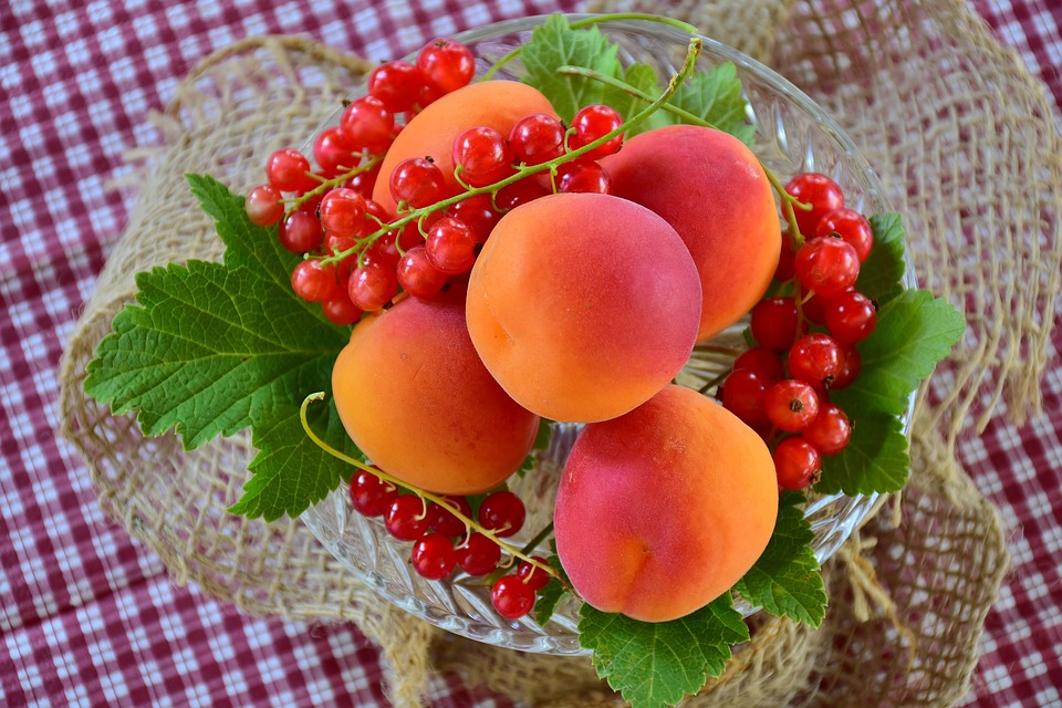 apricots 2444808 960 720