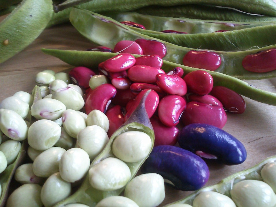 beans 338288 960 720