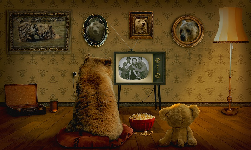bear 3145874 960 720