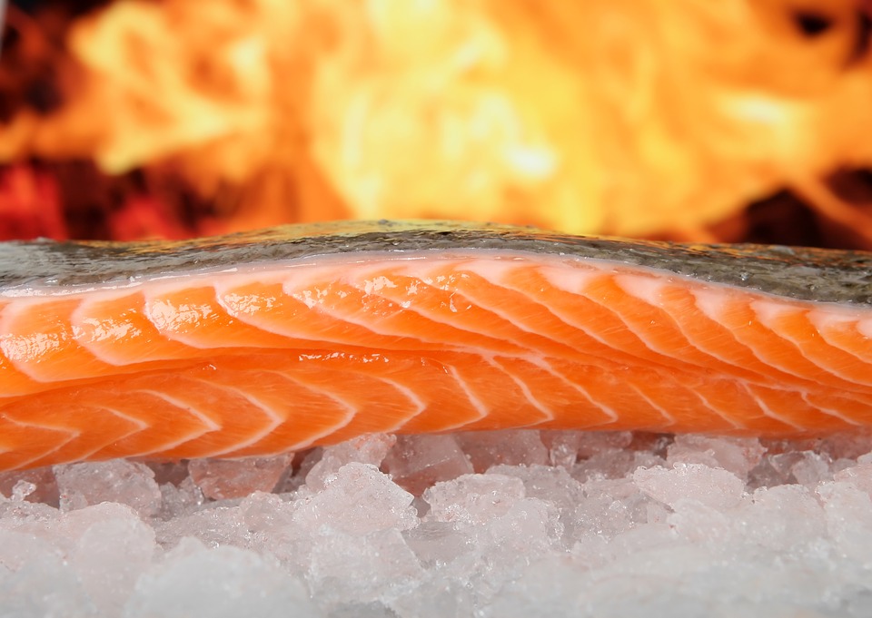 salmon 1238662 960 720